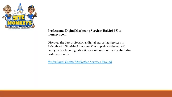 professional digital marketing services raleigh