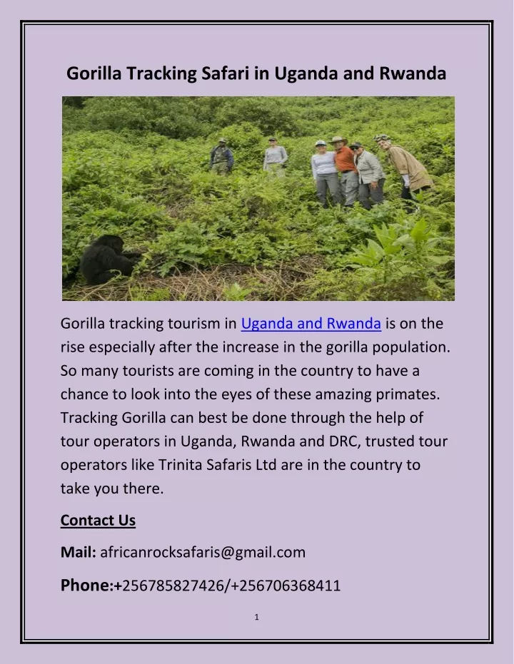 gorilla tracking safari in uganda and rwanda