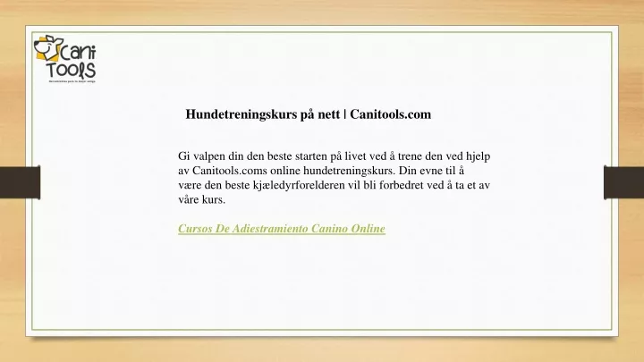 hundetreningskurs p nett canitools com