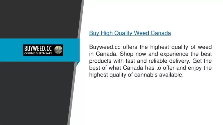 buy high quality weed canada buyweed cc offers