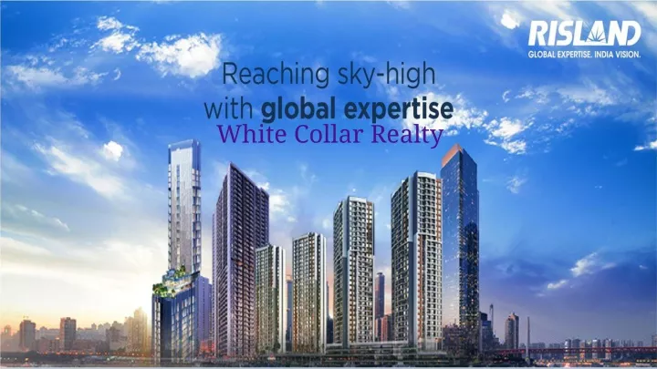 white collar realty