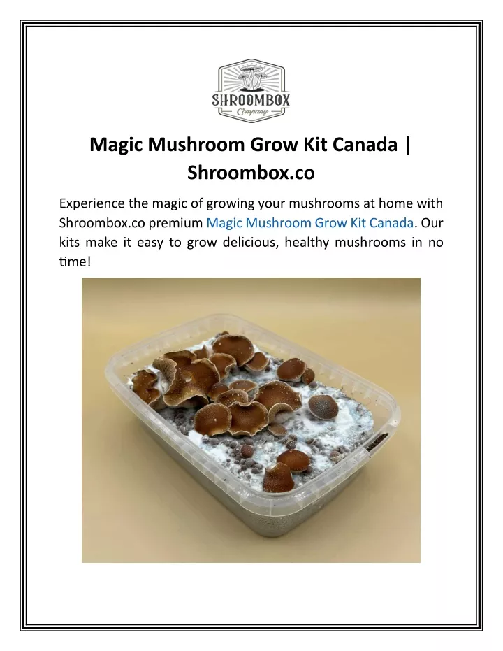 magic mushroom grow kit canada shroombox co