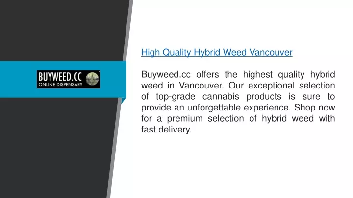 high quality hybrid weed vancouver buyweed