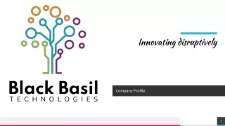 It Consulting & Services Company Black Basil Technologies