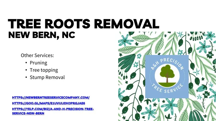tree roots removal