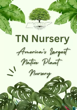 TN Nursery - America's Largest Native Plant Nursery