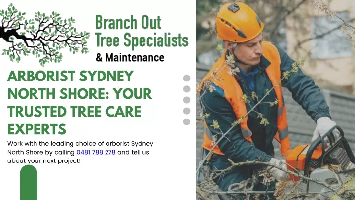 arborist sydney north shore your trusted tree