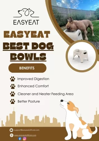 Elevate Mealtime with EasyEat's Best Dog Bowls