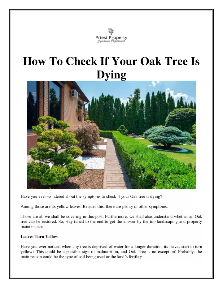 how to check if your oak tree is dying