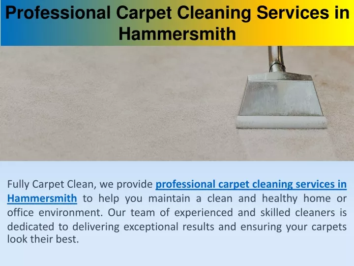 professional carpet cleaning services