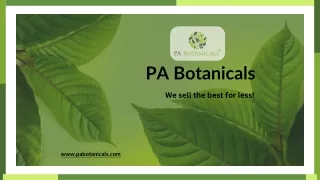Best Kratom Extracts - PA Botanicals