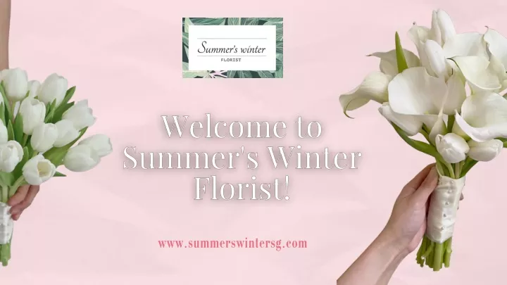 www summerswintersg com