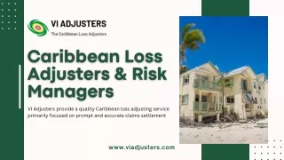 Top Best Caribbean Loss Adjusters and Risk Managers