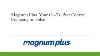 Magnum Plus Your Go-To Pest Control Company in Dubai