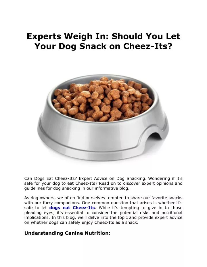 experts weigh in should you let your dog snack