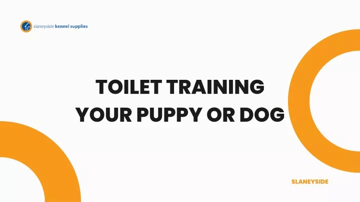 toilet training your puppy or dog