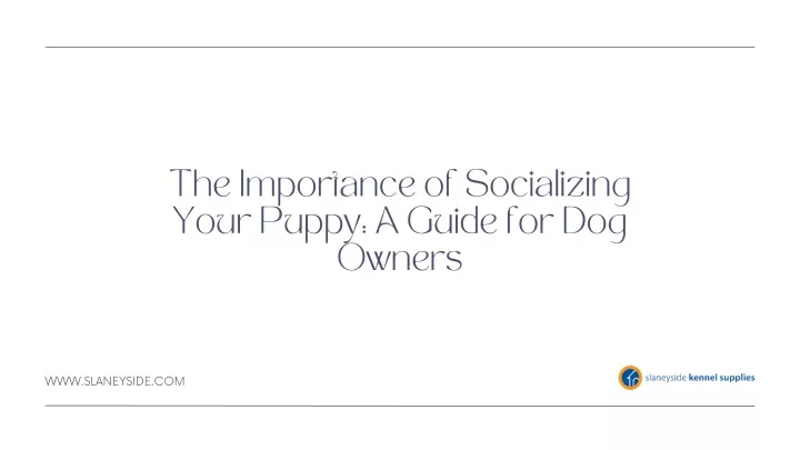 the importance of socializing your puppy a guide