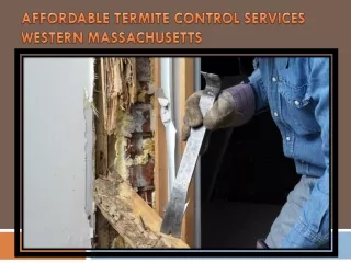 AFFORDABLE TERMITE CONTROL SERVICES WESTERN MASSACHUSETTS