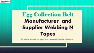 Egg Collection Belt