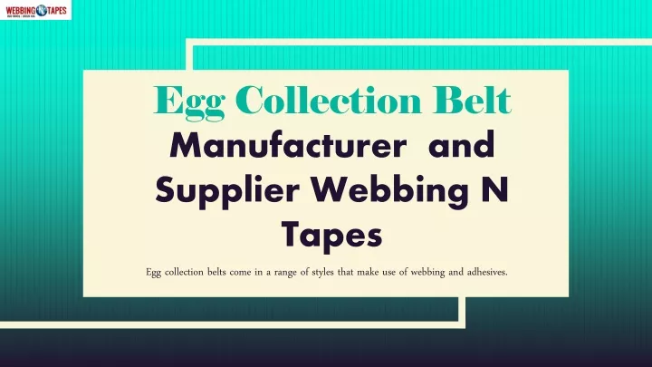 egg collection belt manufacturer and supplier webbing n tapes