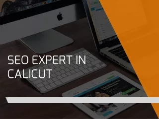 SEO expert in calicut