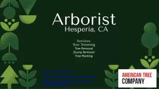 Arborist Services in Hesperia, CA