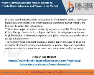 water treatment chemicals Market