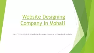 Website Designing  Company in Mohali