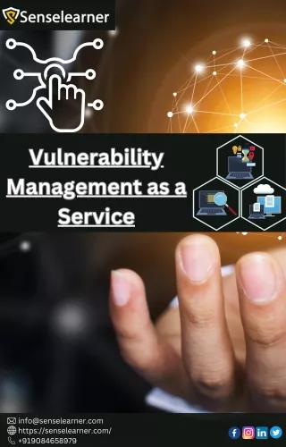 Vulnerability Management as a Service
