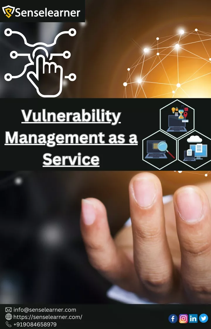 vulnerability management as a service service