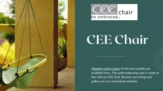 Cozy Up with CEE Chair's Inside Hammock Chair