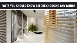 Facts You Should Know Before Choosing Any Blinds!