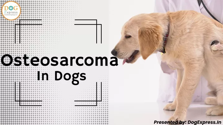 osteosarcoma in dogs