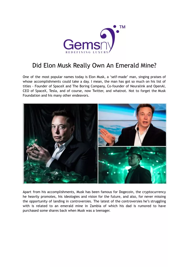 did elon musk really own an emerald mine