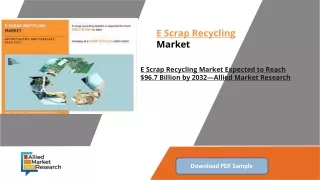 E Scrap Recycling market