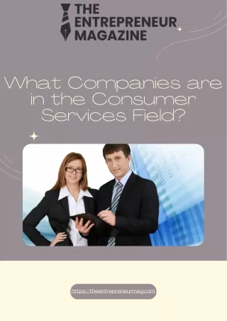 what companies are in the consumer services field
