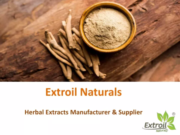 extroil naturals herbal extracts manufacturer supplier