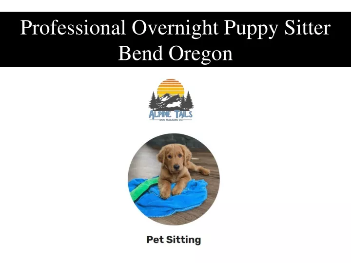 professional overnight puppy sitter bend oregon