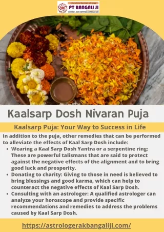 Kaalsarp Dosh Nivaran Puja | Call Now |  91-8219157676