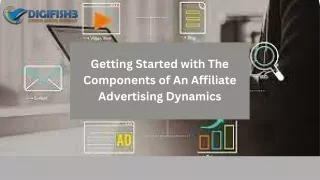 Getting Started with The Components of An Affiliate Advertising Dynamics
