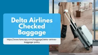 delta airlines checked baggage