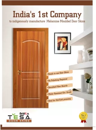 Melamine Moulded Door Skin