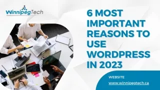 6 Most Important Reasons to Use WordPress in 2023 - WinnipegTech