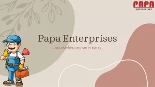 Papa Enterprises