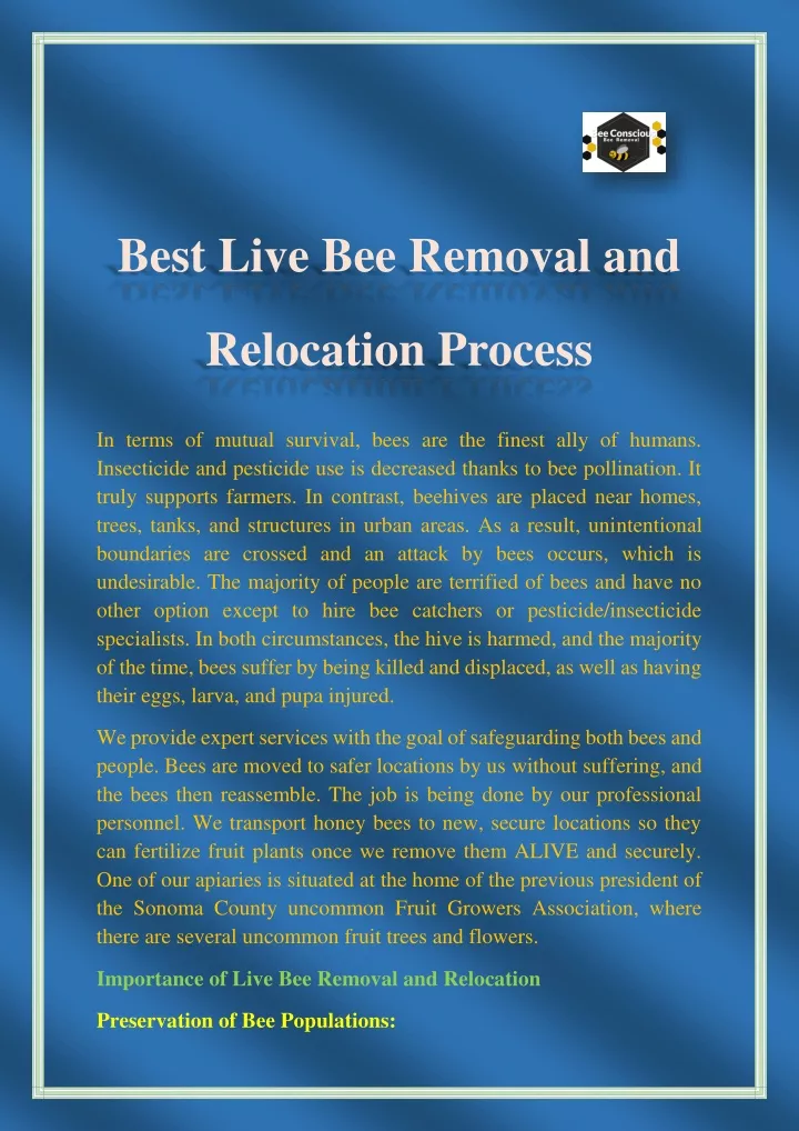 best live bee removal and