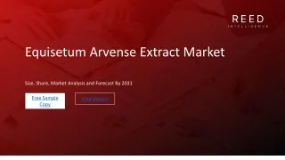 Equisetum Arvense Extract Market