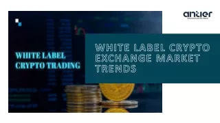 Market Trends in White Label Crypto Exchange - Antier
