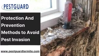 Get The Best Protection And Prevention Methods to Avoid Pest Invasion