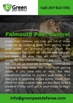 Falmouth Pest Control | Falmouth Wasp Control - slide 1