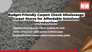 Carpet Stores in Mississauga | How to Find Budget-Friendly Carpets